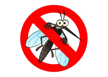 Wellness-Essenz "Anti-Insekten"